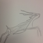 Basic Sketch of Antelope