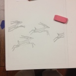 Drawing antelopes